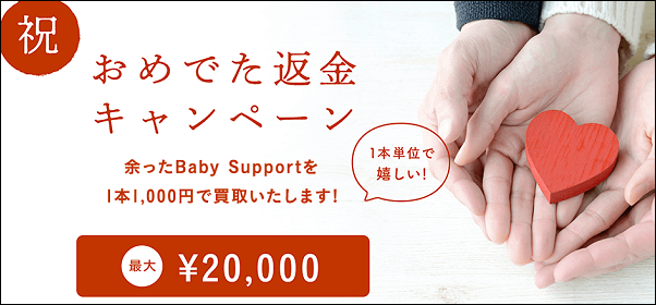 �x�C�r�[�T�|�[�g �U��